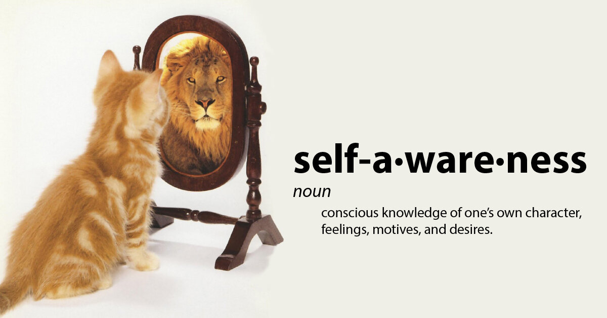 The Paradox of Self-Awareness — Irrrational Coaching